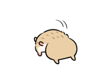 ลายที่ 11