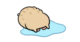 ลายที่ 47