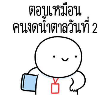 ลายที่ 13