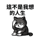782701938