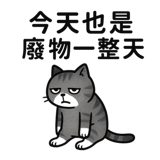 782701947