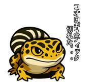 782858630