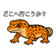 782858632
