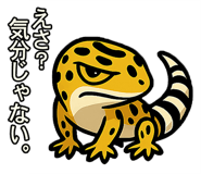 782858639
