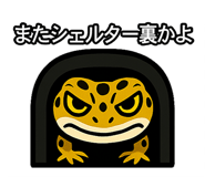 782858640