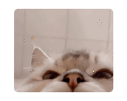 782895538