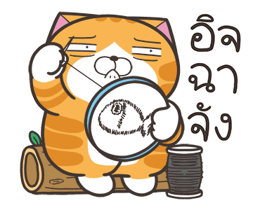 ลายที่ 9