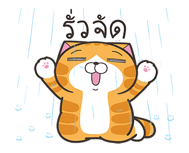 ลายที่ 11