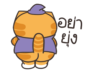 ลายที่ 13