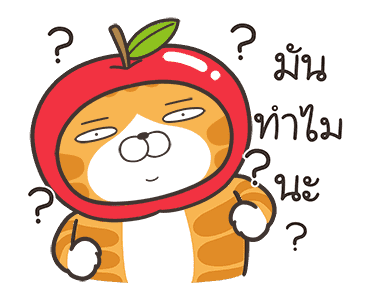 ลายที่ 17