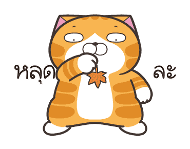 ลายที่ 19