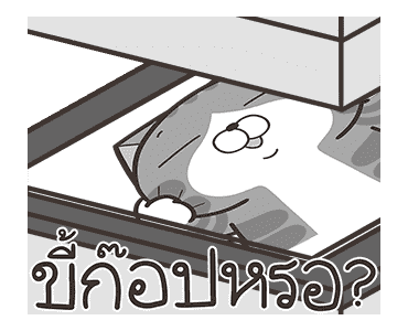 เหมียวซ่า: เจ้าพ่อคำพ้อง รูปที่ 11