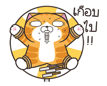 ลายที่ 29