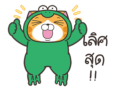 ลายที่ 33