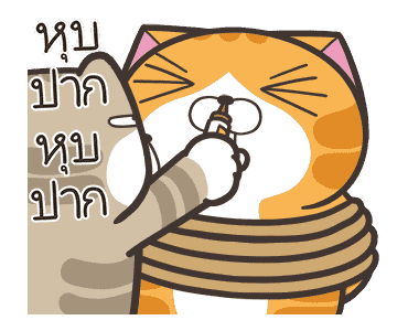 ลายที่ 41