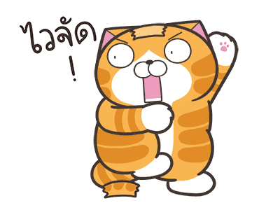 ลายที่ 43