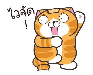 เหมียวซ่า: เจ้าพ่อคำพ้อง รูปที่ 22