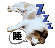 783275147