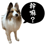 783275168
