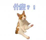 783427779