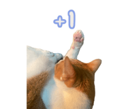 783427780