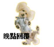 783565955