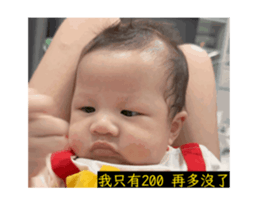 783603816