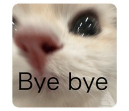 783664400
