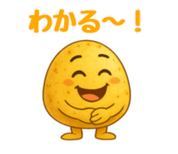 783723953