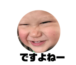 78375504