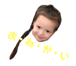 78375507