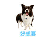 783756575