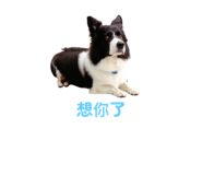 783756576