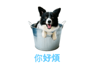 783756584