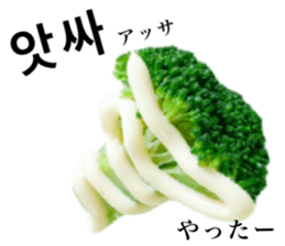 783876646