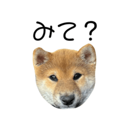 783915297