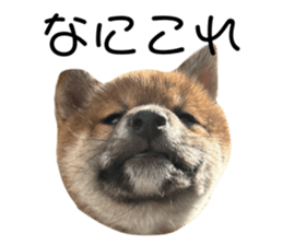 783915302