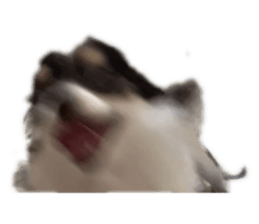 783915714