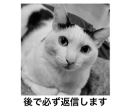 783922103