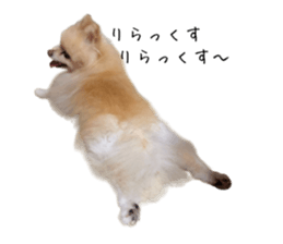 783922138