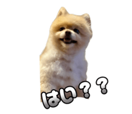 783922141