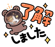 783939559