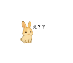 783943885