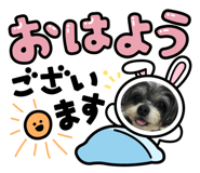 783945497