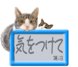 783955045