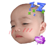 78395640