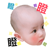 78395645