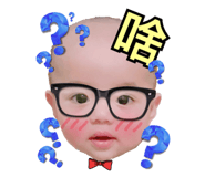 78395646
