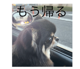 783960246