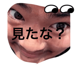 783962247